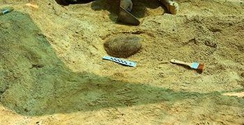 En busca del origen de las faunas del Cretácico Superior en Guadalajara, cuando era costa tropical