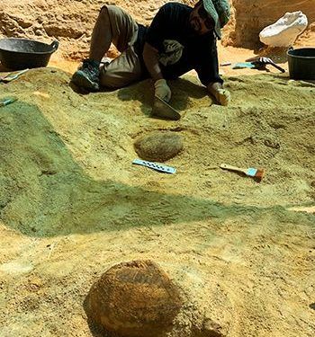 En busca del origen de las faunas del Cretácico Superior en Guadalajara, cuando era costa tropical