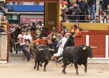 Bonito broche para el último encierro de las Ferias y Fiestas de Guadalajara 2019, buenas carreras y ninguna incidencia