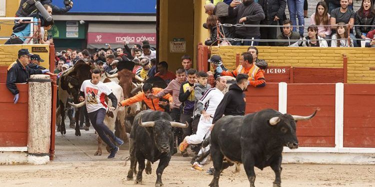 Bonito broche para el último encierro de las Ferias y Fiestas de Guadalajara 2019, buenas carreras y ninguna incidencia Bonito broche para el último encierro de las Ferias y Fiestas de Guadalajara 2019, buenas carreras y ninguna incidencia
