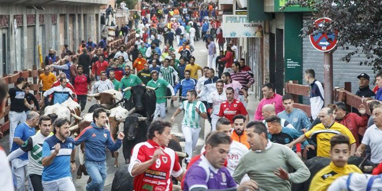Guadalajara tejerá alianzas con Pamplona para la promoción de sus encierros por las calles