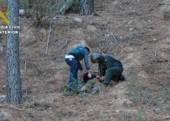 La Guardia Civil desmantela, en una espectacular operación, una plantación de marihuana en el Parque Natural de la Sierra de Norte de Guadalajara