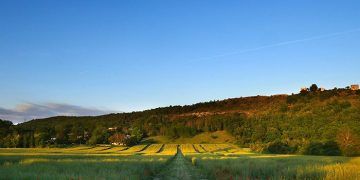 Unión de Uniones denuncia la falta de apoyo público a los agricultores y ganaderos en Red Natura 2000