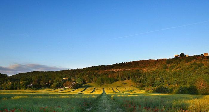 Unión de Uniones denuncia la falta de apoyo público a los agricultores y ganaderos en Red Natura 2000