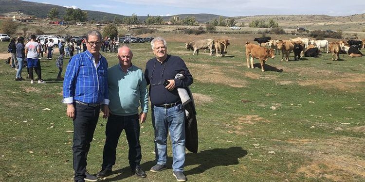 Castilla-La Mancha inicia mañana el pago de más de 32 millones de euros de la PAC del pago básico, verde y régimen de jóvenes agricultores de Guadalajara