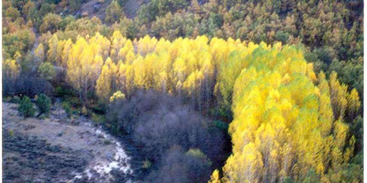 El alcalde de Brihuega y su concejal de Medioambiente tratan con el director del Agua el proyecto de la depuradora El alcalde de Brihuega y su concejal de Medioambiente tratan con el director del Agua el proyecto de la depuradora