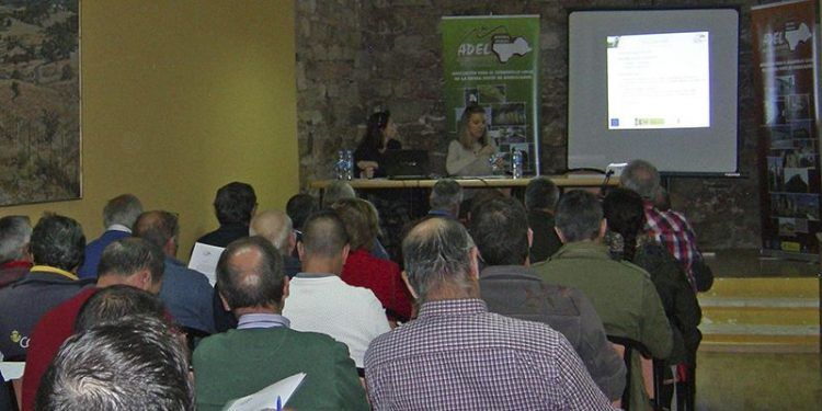 Mª Jesús Merino, alcaldesa de Sigüenza, presidirá el Grupo de Acción Local ‘ADEL Sierra Norte’ Mª Jesús Merino, alcaldesa de Sigüenza, presidirá el Grupo de Acción Local ‘ADEL Sierra Norte’