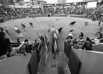 El XXIX Concurso de Fotográfico Ferias y Fiestas de Guadalajara 2019 ya tiene ganadores El XXIX Concurso de Fotográfico Ferias y Fiestas de Guadalajara 2019 ya tiene ganadores