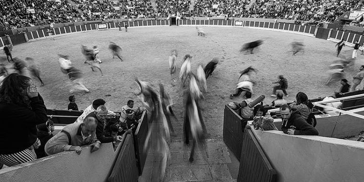 El XXIX Concurso de Fotográfico Ferias y Fiestas de Guadalajara 2019 ya tiene ganadores El XXIX Concurso de Fotográfico Ferias y Fiestas de Guadalajara 2019 ya tiene ganadores