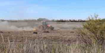 Cuando la siega de un tractor ayuda a la supervivencia de un ave amenazada