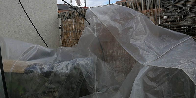 Los servicios de emergencia de Guadalajara realizaron 22 actuaciones este domingo a consecuencia de la borrasca ‘Gloria’ 1 Los servicios de emergencia de Guadalajara realizaron 22 actuaciones este domingo a consecuencia de la borrasca ‘Gloria’