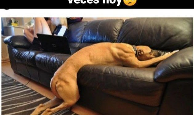 El retiro derrite y echa humo(r)