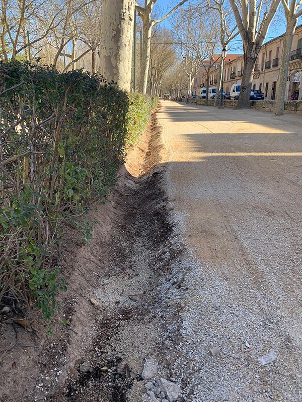 Terminan las obras de renovación de firme en la calle Saturnino López Novoa de Sigüenza 1 Terminan las obras de renovación de firme en la calle Saturnino López Novoa de Sigüenza