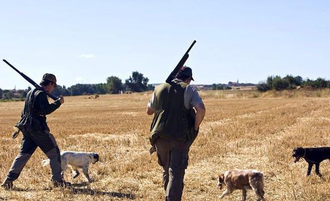 El Gobierno de Castilla-La Mancha publica la Orden que fija los periodos hábiles de caza y veda para la temporada cinegética 2020-2021 que recoge distintas novedades