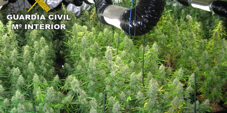 La Guardia Civil detiene a dos personas por cultivar marihuana en Azuqueca de Henares
