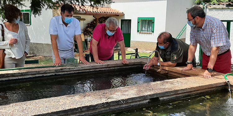 La astacifactoría de Rillo de Gallo distribuye cada año alrededor de 40.000 cangrejos de río
