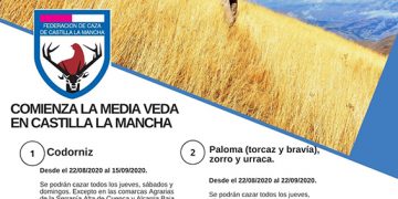 La media veda en CLM permitirá cazar, por primera vez, la paloma bravía