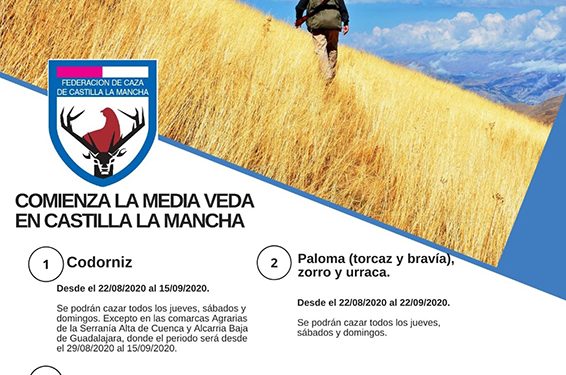 La media veda en CLM permitirá cazar, por primera vez, la paloma bravía La media veda en CLM permitirá cazar, por primera vez, la paloma bravía