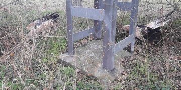 Águilas imperiales, reales, calzadas, búhos reales,… La Guardia Civil de Cuenca remite un informe a Fiscalía por 136 aves electrocutadas