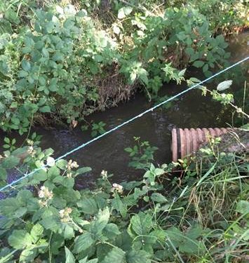 AEMS-Ríos con Vida denuncia la contaminación por vertidos ilegales del río Sorbe