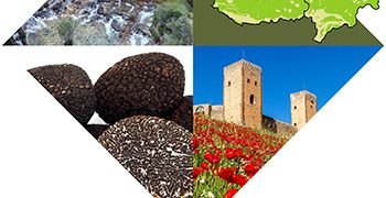 El proyecto de cooperación regional Ecoturismo en la Red Natura 2000 en Castilla–La Mancha se presenta en Molina de Aragón-Alto Tajo