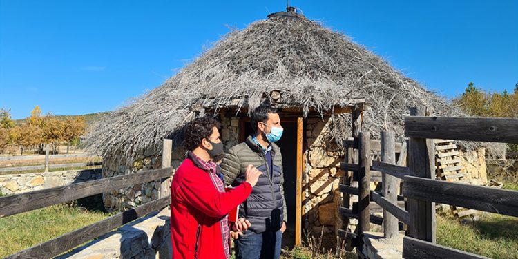 La Diputación impulsa la protección y divulgación medioambiental de Guadalajara en un programa con la Fundación Apadrina un Árbol La Diputación impulsa la protección y divulgación medioambiental de Guadalajara en un programa con la Fundación Apadrina un Árbol