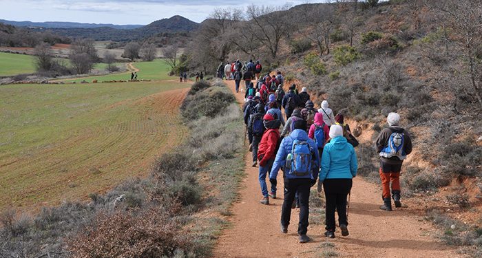 Ecologistas en Acción de Guadalajara alerta del peligro que corren los caminos públicos y pide la realización de inventario de bienes de titularidad pública Ecologistas en Acción de Guadalajara alerta del peligro que corren los caminos públicos y pide la realización de inventario de bienes de titularidad pública