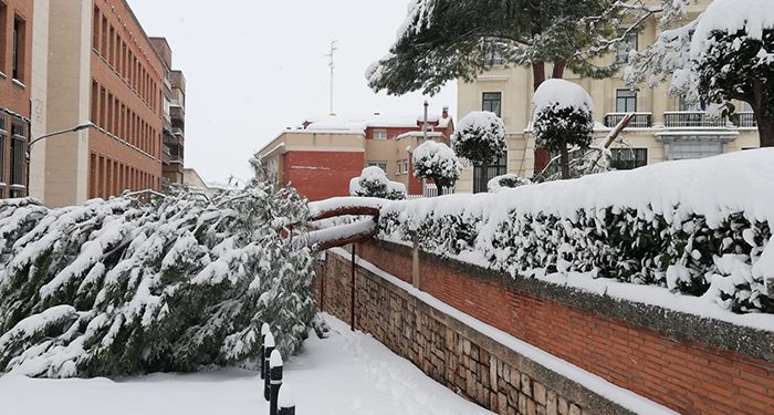 La nieve sigue dejando en Guadalajara estampas históricas…., pero empieza a ser peligroso