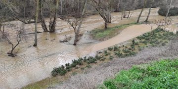 Ecologistas en Acción de Guadalajara y el Grupo Local de WWF recuerdan que advirtieron del riesgo de inundación por las obras en el Henares