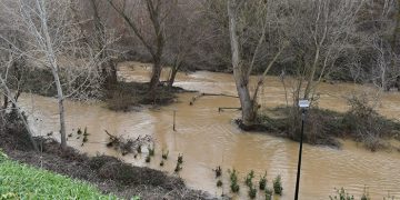 El Ayuntamiento de Guadalajara insiste a la ciudadanía en que evite acercarse al parque fluvial del Henares ante la crecida del río y la previsión de lluvias