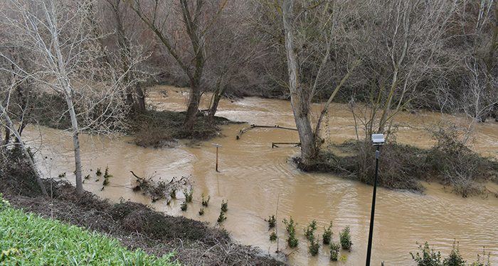 El Ayuntamiento de Guadalajara insiste a la ciudadanía en que evite acercarse al parque fluvial del Henares ante la crecida del río y la previsión de lluvias El Ayuntamiento de Guadalajara insiste a la ciudadanía en que evite acercarse al parque fluvial del Henares ante la crecida del río y la previsión de lluvias
