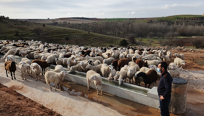 El sector primario empieza a usar las nuevas infraestructuras agrarias subvencionadas por la Diputación de Guadalajara 1 El sector primario empieza a usar las nuevas infraestructuras agrarias subvencionadas por la Diputación de Guadalajara