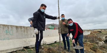 La Diputación de Guadalajara entrega 2.000 árboles a municipios de la provincia