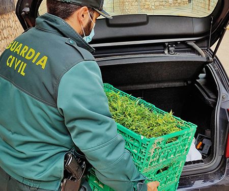 La Guardia Civil detiene a una persona e investiga a otras dos por tráfico de drogas en Uceda y en Almonacid de Zorita