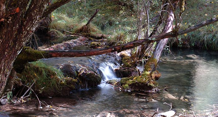Nace una asociación interprovincial española para la protección y defensa del agua Nace una asociación interprovincial española para la protección y defensa del agua