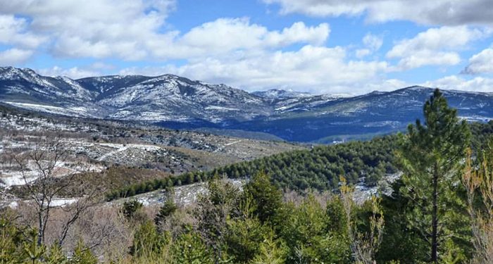 Ecologistas en Acción cree que la modificación de la Ley del Parque Natural de la Sierra Norte de Guadalajara lo desprotege