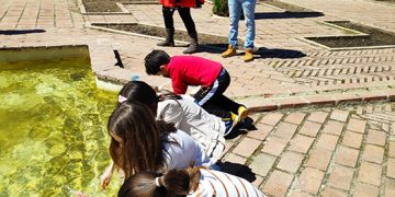 El Ayuntamiento de Guadalajara sigue apostando por las visitas familiares y nos invita a conocer la Guadalajara de las tres culturas