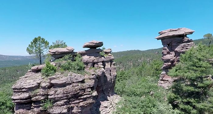 El Gobierno regional aprueba un gasto de 105.379 euros y encarga a Geacam la prestación de apoyo técnico para la certificación forestal en diversos montes de Cuenca, Guadalajara y Toledo El Gobierno regional aprueba un gasto de 105.379 euros y encarga a Geacam la prestación de apoyo técnico para la certificación forestal en diversos montes de Cuenca, Guadalajara y Toledo