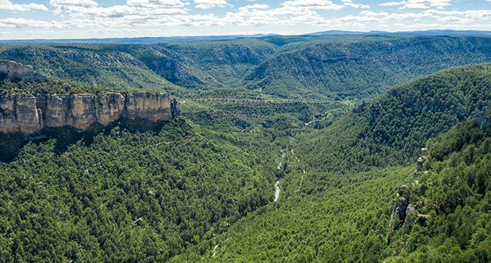 Nace RumboRural, la plataforma de jóvenes que se lanza a revitalizar el Alto Tajo Nace RumboRural, la plataforma de jóvenes que se lanza a revitalizar el Alto Tajo
