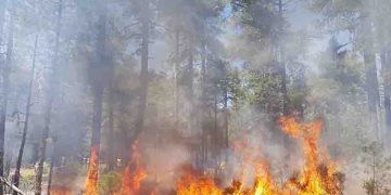Controlado el incendio en Archilla donde aún trabajan 20 personas