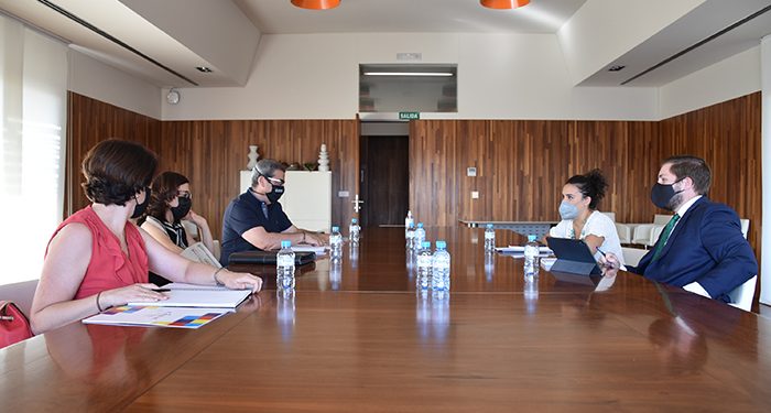 El Gobierno regional contará con el CERMI en la elaboración del Plan regional de Vivienda