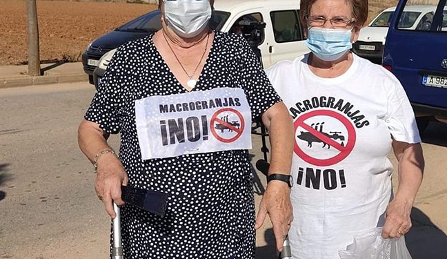 ¿Por qué con ochenta y cuatro años me remango las sayas y hago un “calvo”?