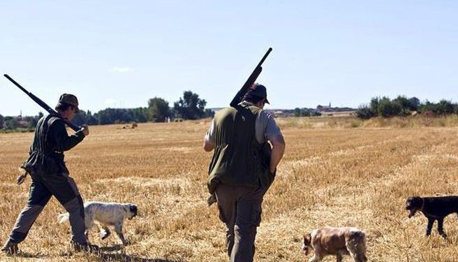 Abierta la temporada hábil de caza con las medidas especiales actualizadas frente al Covid-19 en la actividad cinegética