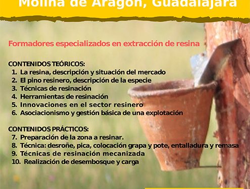 Curso de resineros en Molina de Aragón Curso de resineros en Molina de Aragón