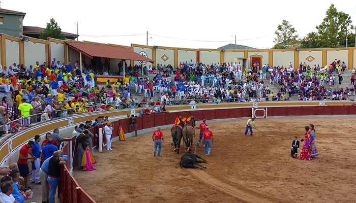 Jadraque inaugura la temporada taurina en Guadalajara