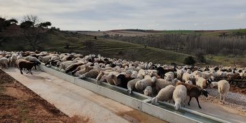La Diputación de Guadalajara subvenciona a 23 ayuntamientos la inversión en nuevas infraestructuras agrarias de uso común