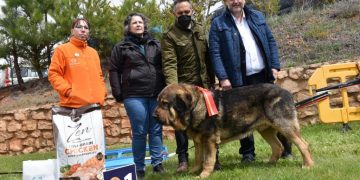 Castilla-La Mancha considera que la Ley de Bienestar Animal invade competencias autonómicas y “rezuma desconfianza” hacia el modo de vida del medio rural