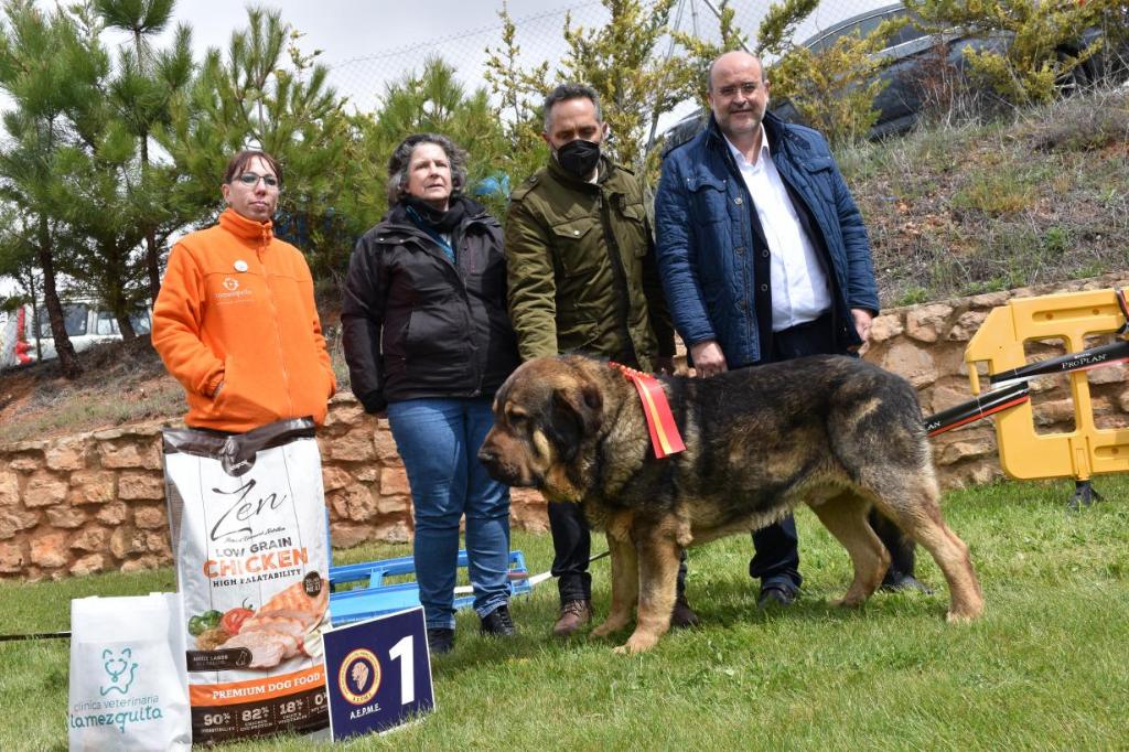 Castilla-La Mancha considera que la Ley de Bienestar Animal invade competencias autonómicas y “rezuma desconfianza” hacia el modo de vida del medio rural