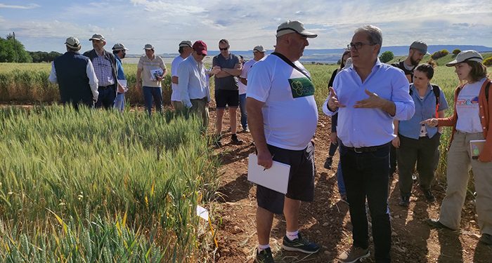El Centro de Investigación Apícola y Agroambiental de Marchamalo abre sus puertas a profesionales de la provincia para informar de sus investigaciones