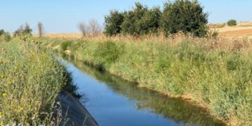 Encuentran el cuerpo de una mujer en el Canal del Henares en Cabanillas